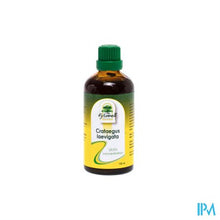 Load image into Gallery viewer, Fytobell Crataegus Laevigata Ue Gutt 100ml

