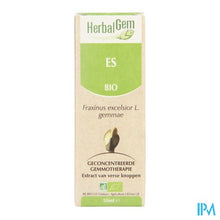 Charger l'image dans la galerie, Herbalgem Es Maceraat 50ml

