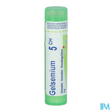 Load image into Gallery viewer, Gelsemium Sempervirens 5ch Gr 4g Boiron
