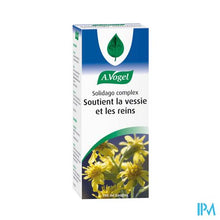 Afbeelding in Gallery-weergave laden, A.Vogel Solidago Complex 100ml
