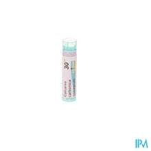 Load image into Gallery viewer, Calcarea Carbonica Ostrearum 30ch Gr 4g Boiron
