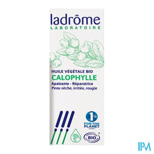 Charger l'image dans la galerie, Ladrome Calophyllumolie 100ml
