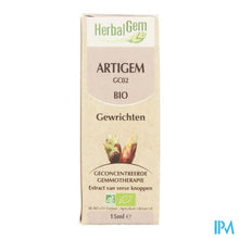 Charger l'image dans la galerie, Herbalgem Artigem Complex 15ml
