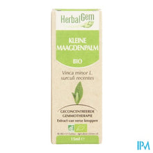 Charger l'image dans la galerie, Herbalgem Maagdenpalm Maceraat 15ml
