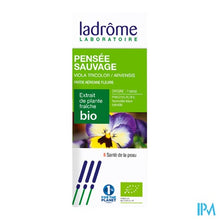 Afbeelding in Gallery-weergave laden, Ladrome Viola Tricolor/driekleurig Viooltje 50ml
