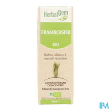 Charger l'image dans la galerie, Herbalgem Frambozen Maceraat 50ml

