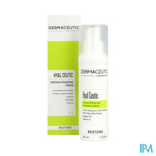 Load image into Gallery viewer, Dermaceutic Hyalceutic 40ml Verv.2956035
