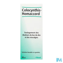 Afbeelding in Gallery-weergave laden, Colocynthis-homacc. Gutt 30ml Heel
