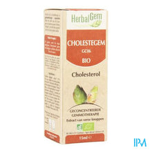 Afbeelding in Gallery-weergave laden, Herbalgem Cholestegem Cholesterol Complex Gutt15ml
