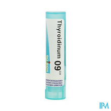 Afbeelding in Gallery-weergave laden, Thyroidinum 9ch Gr 4g Boiron
