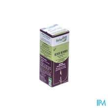 Charger l'image dans la galerie, Herbalgem Rode Bosbes Maceraat 15ml
