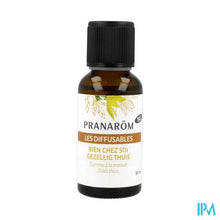 Charger l'image dans la galerie, Pranarom Les Diffusables Bio Gezellig Thuis 30ml
