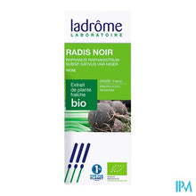 Charger l'image dans la galerie, Ladrome Raphanus Sativus Var. Niger/rammenas 50ml
