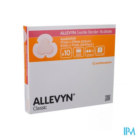 Allevyn Gentle Border Multisite Indiv. 10 66800959