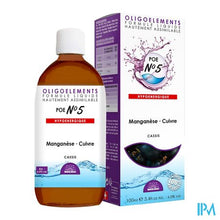 Charger l'image dans la galerie, Bioligophyt Zwart Aalbes Gutt 100ml Bioligo
