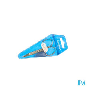 Selection Nagelschaar Recht Inox R10