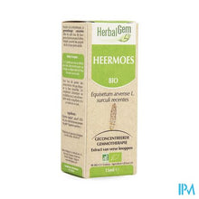 Afbeelding in Gallery-weergave laden, Herbalgem Heermoes Maceraat 15ml
