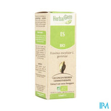 Afbeelding in Gallery-weergave laden, Herbalgem Es Maceraat 15ml
