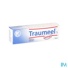 Load image into Gallery viewer, Traumeel S Dentogel 50g Heel
