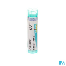 Load image into Gallery viewer, Actaea Racemosa 7ch Gr 4g Boiron
