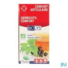 Afbeelding in Gallery-weergave laden, Biolys Aalbes Bio Tea-bags 20

