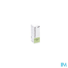 Afbeelding in Gallery-weergave laden, Groene Cipres Bio Ess Olie 5ml Pranarom
