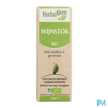 Charger l'image dans la galerie, Herbalgem Wijnstok Maceraat 15ml

