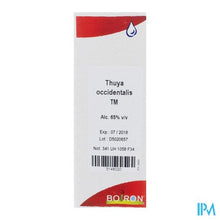 Charger l'image dans la galerie, Thuya Occidentalis Tm 60ml Boiron
