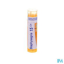 Load image into Gallery viewer, Staphysagria 15ch Gr 4g Boiron
