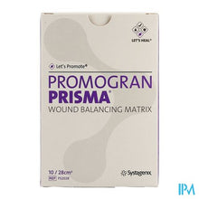 Load image into Gallery viewer, Promogran Prisma 28cm2 10 Ps2028
