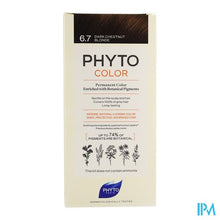 Load image into Gallery viewer, Phytocolor 6.7 Blond Fonce Marron
