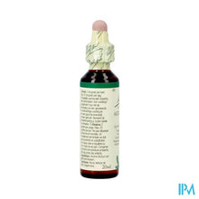 Afbeelding in Gallery-weergave laden, Bach Flower Remedie 01 Agrimony 20ml

