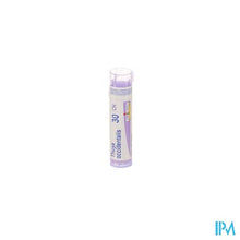 Afbeelding in Gallery-weergave laden, Thuya Occidentalis 30ch Gr 4g Boiron
