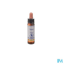 Load image into Gallery viewer, Healing Herbs Vine 10ml
