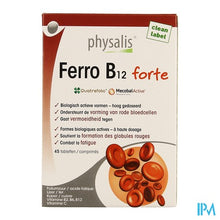 Afbeelding in Gallery-weergave laden, Physalis Ferro B12 Comp 45
