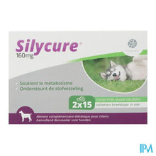 Charger l'image dans la galerie, Silycure 160mg Comp 2x15
