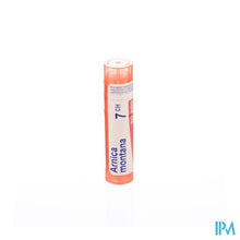 Afbeelding in Gallery-weergave laden, Arnica Montana 7ch Gr 4g Boiron
