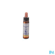 Healing Herbs Chestnut Bud 10ml