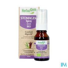 Load image into Gallery viewer, Herbalgem Stomagem Spray Bio 15ml
