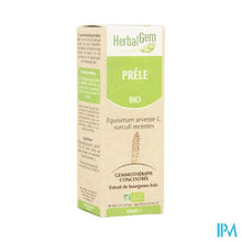 Afbeelding in Gallery-weergave laden, Herbalgem Heermoes Maceraat 50ml

