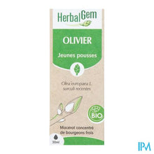 Afbeelding in Gallery-weergave laden, Herbalgem Olijfboom Bio 30ml
