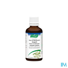 Afbeelding in Gallery-weergave laden, A.Vogel Viscum Album 50ml
