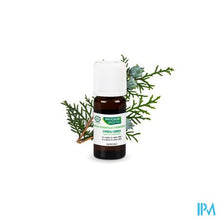 Afbeelding in Gallery-weergave laden, Phytosun Cipres Eco 10ml
