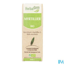 Charger l'image dans la galerie, Herbalgem Blauwe Bosbes Maceraat 50ml
