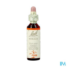 Charger l'image dans la galerie, Bach Flower Remedie 20 Mimulus 20ml
