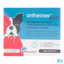 Afbeelding in Gallery-weergave laden, Anthelmex Forte Kauwtabl. Hond 2

