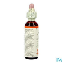 Charger l'image dans la galerie, Bach Flower Remedie 25 Red Chestnut 20ml
