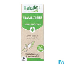 Load image into Gallery viewer, Herbalgem Frambozenstruik Bio 30ml
