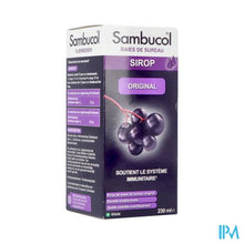 Afbeelding in Gallery-weergave laden, Sambucol The Original 230ml
