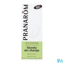 Afbeelding in Gallery-weergave laden, Pranarom Eo Akkermunt Bio 10ml
